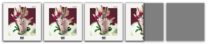 Machine Gun Kelly, Bloom