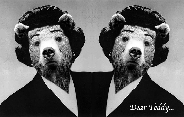 DEAR TEDDY LIVE AND LOVE