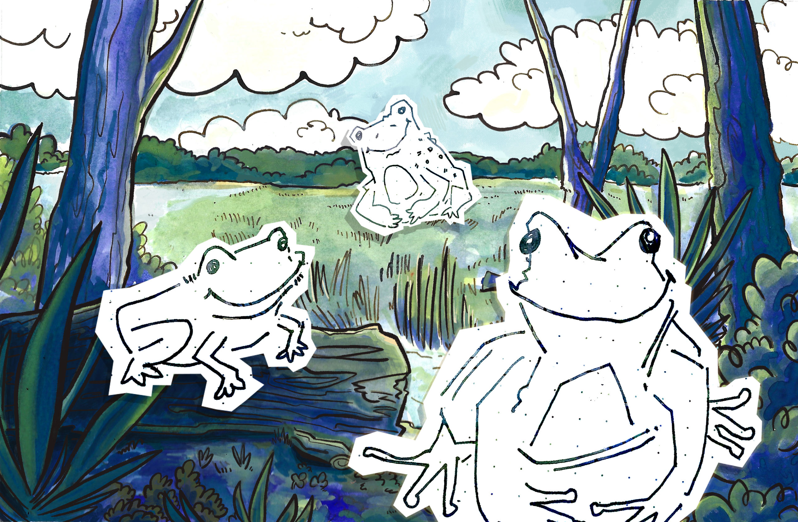 Frog Interview Illustration
